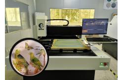 China Single Phase Computer To Screen Exposing Machine 220V 2540dpi supplier