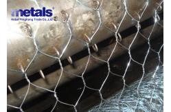 China ODM Poultry Galvanized Hex Netting Wire For Chicken Mesh 1/2 supplier