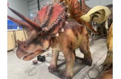 China Electric Triceratops Animatronic Dinosaur Model Infrared Control System supplier