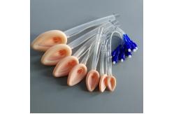 China Reusable Silicone Standard Laryngeal Mask Airway, With Bar Factory Price supplier