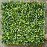 Fake Artificial Wall Grass 50cm*50cm Size The Perfect Solution For Houses And Shops Decoration And Noise Reduction for sale