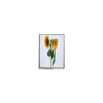 4.3 inch auo lcd panel A043FL01 V3 480*272 LCD display modules for sale