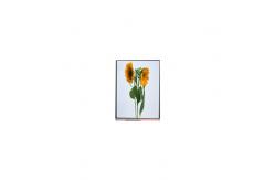 China 4.3 inch auo lcd panel A043FL01 V3 480*272 LCD display modules supplier