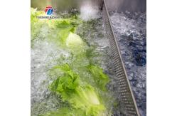 China SS Fruit Bubble Washing Machine Commercial Vegetable Cleaning Equipment supplier