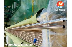 China ASME B111 C10200 C70600 C44300 C12200 النحاس والنيكل سلس أنبوب كوبر لفائف أنبوب لمبادل حراري مكثف برودة supplier