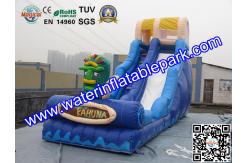 China Largest  Inflatable Bouncy Slide Rentals For Water Sport Games supplier