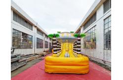 China ODM Outdoor Inflatable Water Slides Giant Long Palm Tree Bounce House supplier
