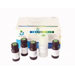 Kit to Evaluate Sperm DNA Integrity