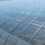 Anti UV PE Plastic Agricultural Mulch Film For Greenhouse 30-100m/Roll