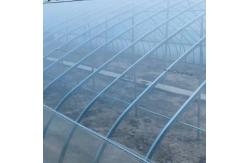 China Anti UV PE Plastic Agricultural Mulch Film For Greenhouse 30-100m/Roll supplier