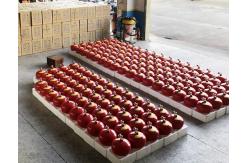 China 6L Hanging Fire Extinguishing HFC-227ea/FM200 Automatic Fire Suppression System supplier