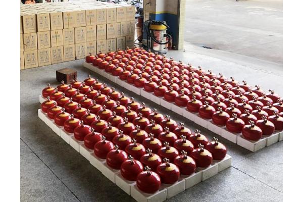 6L Hanging Fire Extinguishing HFC-227ea/FM200 Automatic Fire Suppression System