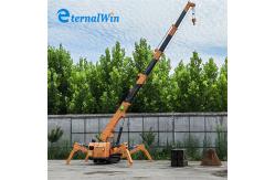 China Electric And Diesel Power 5 Ton Spider Crane For Building Maintenance supplier