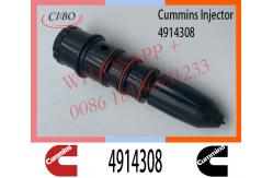China CUMMINS Diesel Fuel Injector 4914308 3062092 4307428 4914325 Injection NTA855 NT855 Engine supplier