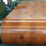 JIS Prepainted Color Coated Steel Coil Ppgl 600mm 1500mm for sale