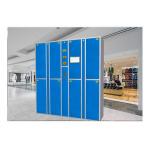 Electronic Smart Steel Laundry Locker Metal Storage Locker with Camera and Laundry Factory System for sale
