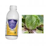 Kasugamycin 6% Broad Spectrum Fungal Disease Control Soluble Concentrate for sale