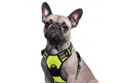 China Nylon Reflective Pet Harness Leash For Large Dogs With Pull Handle supplier