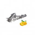 PLC Control Mango Processing Plant Mango Pulp Processing Machine 380V 50Hz for sale