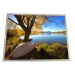 LQ150X1LW95 15 Inch 1024x768 TFT LCD Panel LVDS Interface LCD Screen For Medical Imaging for sale