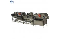 China SS304 Material Fruit And Vegetable Processing Line With Turbocharging supplier