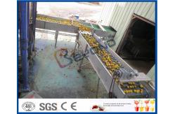 China CE Citrus Processing Equipment , Orange Juice Plant With Fruit Processing Technology supplier
