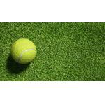 14000 Dtex Artificial Turf Grass Roll 20mm Pile Height Odorless