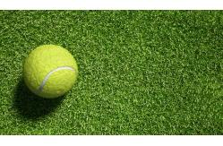 China 14000 Dtex Artificial Turf Grass Roll 20mm Pile Height Odorless supplier