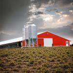 Prefab Steel Structure Low Cost Commercial Chicken House Complete Poultry Farm Shed for Chicken Raising for sale