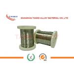 Type K Ribbon 0.5mm*10mm Bare Wire Thermocouple , 50mm Chromel Alumel Strip for sale