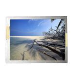 NEC 640*480 LVDS Original 20 pin 6.5 inch TFT LCD Screen Display NL6448BC20-30C for sale