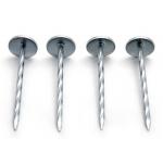 BWG8 2-1/2 Galvanised umbrella Roofing Nails for sale