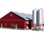 Economical Light Steel House Construction Customized Steel Structure Shed Factory for sale