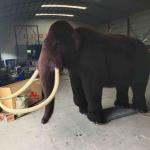 Size Custom Realistic Animatronic Animals Mammoth Model Adult Age for sale