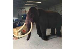 China Size Custom Realistic Animatronic Animals Mammoth Model Adult Age supplier