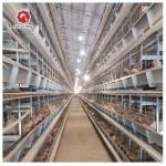 H Type Layer Chicken Cage Equipment 4 Tier 5 Tier Farm for sale