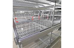 China 45 Days 4 Floors H Frame Broiler Chicken Cage With Automatic Feeder supplier