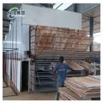 Customizable Drying Process Wood Veneer Production Dryer for sale
