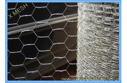 China Galvanized Hexagonal / Coated Chicken Feeding Wire Mesh 0.5mm-1.2mm Wire Dia supplier