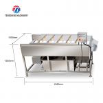 2.5KW Vegetable Parallel Roller Cleaning Machine High Pressure Spray Fruit Washing Machine