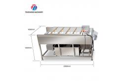 China 2.5KW Vegetable Parallel Roller Cleaning Machine High Pressure Spray Fruit Washing Machine supplier