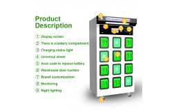 China RS485 Swapping Electric Car Change Battery Station 4G WiFi 176V-264V supplier