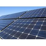 Industrial Jinko 250w Solar Panels , Black Mono Solar Module CE Certification for sale