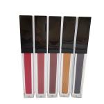 ODM 49 Color Biochemical Matt Lip Gloss Lipstick for sale