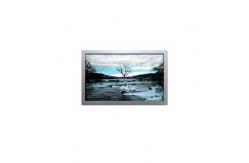 China AA070ME11-CJ1 7.0 inch lcd display lcd screen 800*480 lcd panel supplier