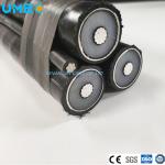 Electric Mv Overhead Stranded Compacted Circular AAC/ACSR Aluminum Conductor ABC Cable