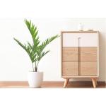 Areca Palm Artificial Landscape Trees 170cm House Office Decoration for sale