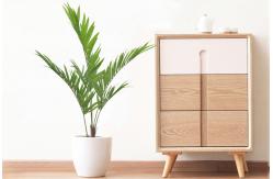 China Areca Palm Artificial Landscape Trees 170cm House Office Decoration supplier