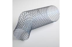 China Nitinol Expandable Bronchus Stent With Delivery System of Nitinol stent supplier