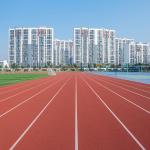 Permeable Sandwich System Running Track Outdoor Sports Surfaces for sale